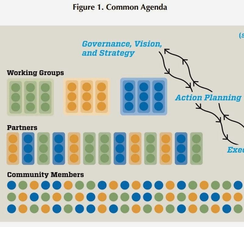 Aging Action Initiative Collective Impact from Vision to Implementation  