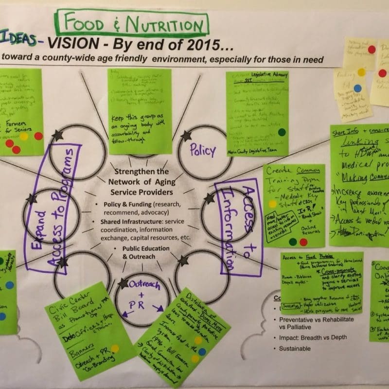 Aging Action Initiative Food Action Ideas Graphic  