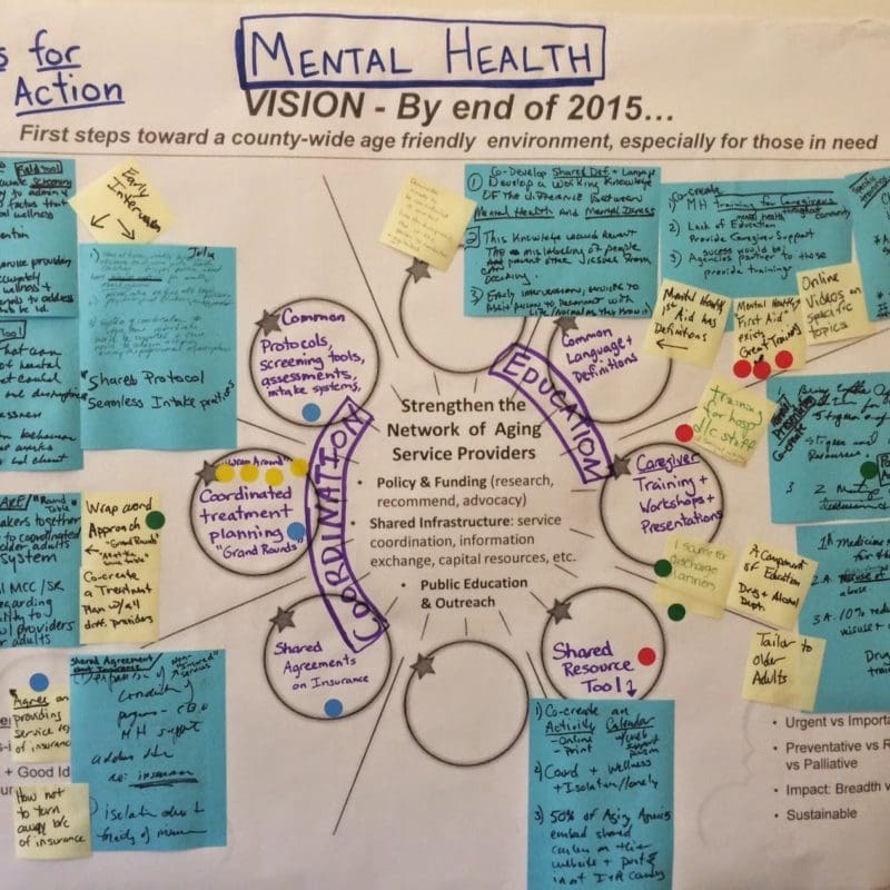 Aging Action Initiative Mental Health Action Ideas Graphic  